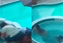 #VIDEO // Muere menor atrapada en el sistema de succión de una alberca en Brasil
