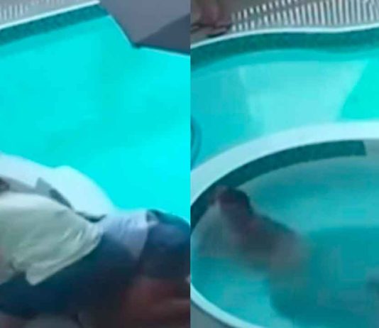 #VIDEO // Muere menor atrapada en el sistema de succión de una alberca en Brasil