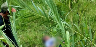 Mujer es atacada por una jauría de perros en la colonia El Arenal de Uruapan