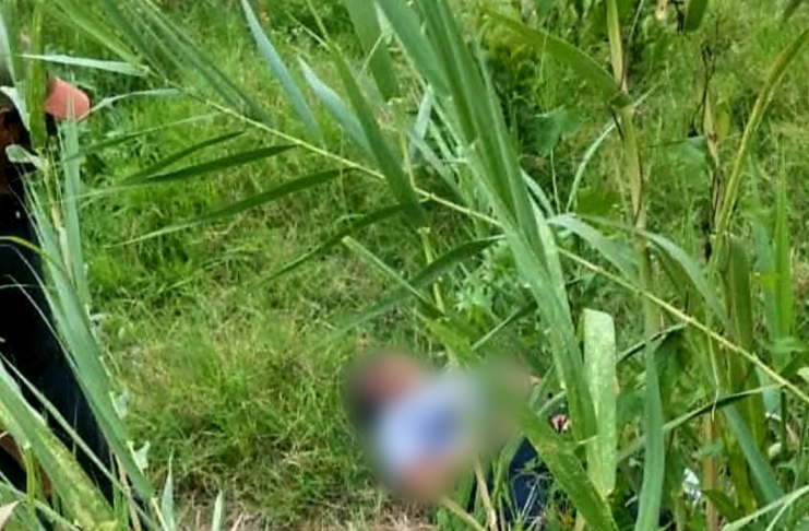 Mujer es atacada por una jauría de perros en la colonia El Arenal de Uruapan