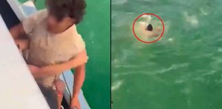 Imágenes inéditas revelan detalles clave y sacuden caso de turista muerto en Guatapé