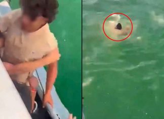Imágenes inéditas revelan detalles clave y sacuden caso de turista muerto en Guatapé