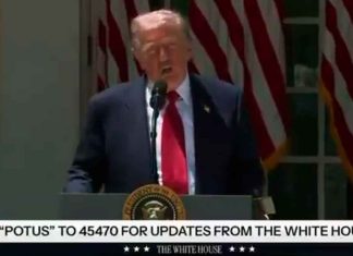 #VIDEO// “Los cárteles controlan el país”: Trump lanza advertencia contra México
