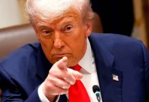 Trump lanza advertencia: si México no frena al narco, Estados Unidos dice que ‘entrará en acción’