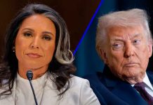 Tulsi Gabbard renuncia al gobierno de Trump; revela delicado estado de salud de su esposo