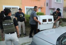 Rescata FGE a dos caninos víctimas de maltrato y abandono, en Morelia