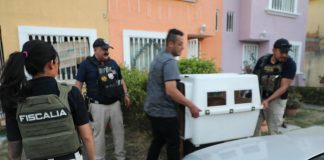 Rescata FGE a dos caninos víctimas de maltrato y abandono, en Morelia