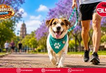 #VIDEO// Morelia se llenará de huellitas con el treceavo Perrally de 91.5 FM