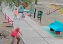 #VIDEO // Captan el ataque con una piedra contra una abuelita en Saltillo