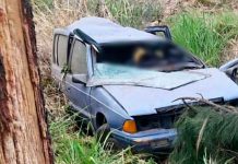 Mueren dos jóvenes en choque de auto contra árbol en la Morelia-Salamanca