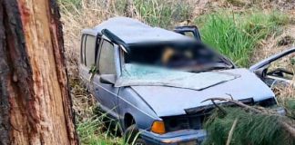 Mueren dos jóvenes en choque de auto contra árbol en la Morelia-Salamanca