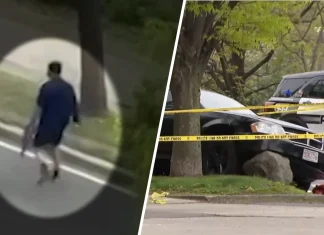 #Video || Se reporta un tiroteo que dejó al menos a una persona lesionada en Cambridge, Massachusetts