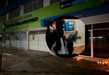 Caso Makarenko: familiares piden nuevo peritaje; investigan si Osmar N. remató a una maestra