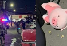 Asesinan a balazos a un hombre en la vía pública y dejan un cerdo de peluche a su lado