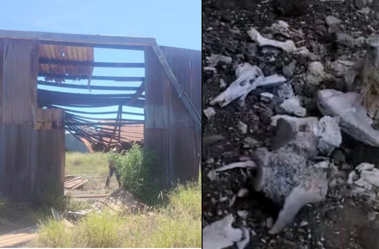 Localizan nuevo campo de exterminio en Miguel Alemán; hallan fosas y “cocinas” clandestinas