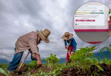 Gobierno anuncia eliminación de deudas “impagables” a productores de la Financiera Nacional