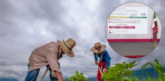 Gobierno anuncia eliminación de deudas “impagables” a productores de la Financiera Nacional