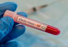 La OMS declara el brote de ébola como emergencia internacional