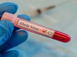 La OMS declara el brote de ébola como emergencia internacional