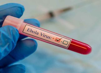 La OMS declara el brote de ébola como emergencia internacional