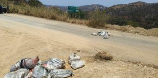 Tiran 10 cuerpos con huellas de tortura y desmembrados en carreteras de Guerrero