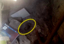 Hallan granada en inmueble en obra negra de la colonia Lago 1, Morelia