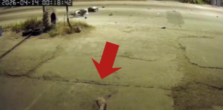 #VIDEO // Motociclista se amputa la pierna tras choque frontal contra auto a máxima velocidad