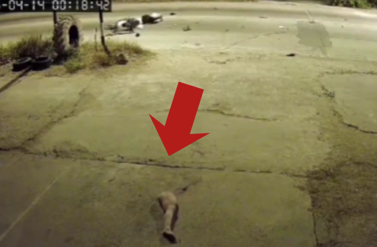 #VIDEO // Motociclista se amputa la pierna tras choque frontal contra auto a máxima velocidad