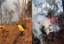 Continúan labores coordinadas para la atención del incendio forestal en la comunidad de Copándaro