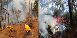 Continúan labores coordinadas para la atención del incendio forestal en la comunidad de Copándaro