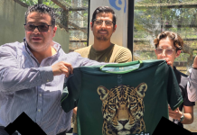 Corre en el Zoológico de Morelia para salvar al Jaguar que está en peligro de extinción