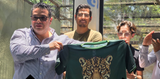 Corre en el Zoológico de Morelia para salvar al Jaguar que está en peligro de extinción
