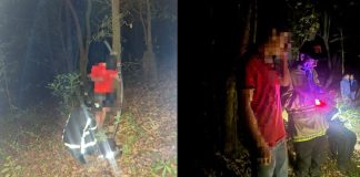 Bomberos Zitácuaro rescatan a dos adolescentes extraviados en el Cerro del Cacique