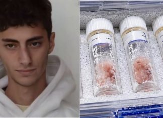 Detienen a joven que viajaba a México con embriones humanos ocultos en tubos de ensayo