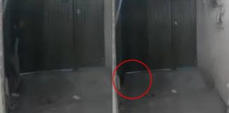 #VIDEO // Captan a ladron entrando a una casa por una coladera en Naucalpan