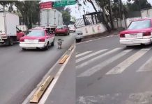 #VIDEO // Captan a taxista abandonando a un perro en la colonia Eduardo Molina, Ciudad de México