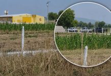 Encuentran a hombre asesinado en Tzintzimeo, Álvaro Obregón