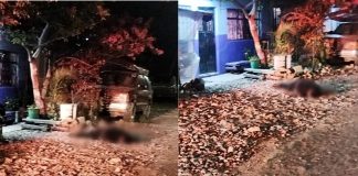 A balazos matan a un sujeto en la colonia Jacarandas