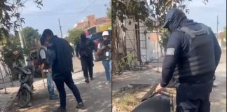 #VIDEO // “¿Son tuyos?”: Policías de Irapuato intimidan a ciudadana por grabar maltrato animal