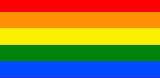 Una fecha para visibilizar la lucha contra la discriminación LGBTQ+: 17 de mayo