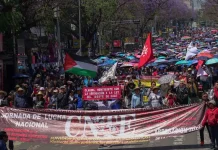 #Video || CNTE confirma su arribo para la megamarcha de este 15 de mayo