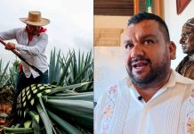 Productores de mezcal en Michoacán buscan nivelar la cancha fiscal frente a bebidas industriales