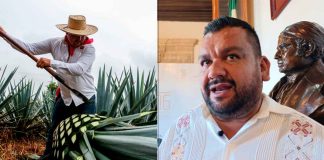 Productores de mezcal en Michoacán buscan nivelar la cancha fiscal frente a bebidas industriales