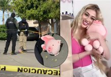 Suman tres asesinatos donde los responsables abandonan un cerdo de peluche