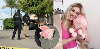 Suman tres asesinatos donde los responsables abandonan un cerdo de peluche
