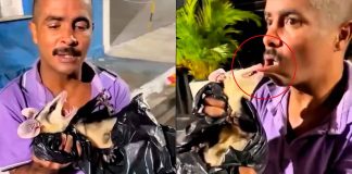 VIDEO | Hombre intenta meterse una zarigüeya a la boca y termina con severa mordida