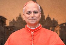 El Papa León XIV, voz clave por la paz y la justicia internacional