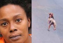VIDEO | Arrestan a mujer captada en video golpeando y maltratando brutalmente a un perrito
