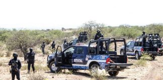 Hallan siete cuerpos en Aguascalientes; víctimas serían de Zacatecas