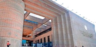 El Poder Judicial es invadido por ratas y cucarachas